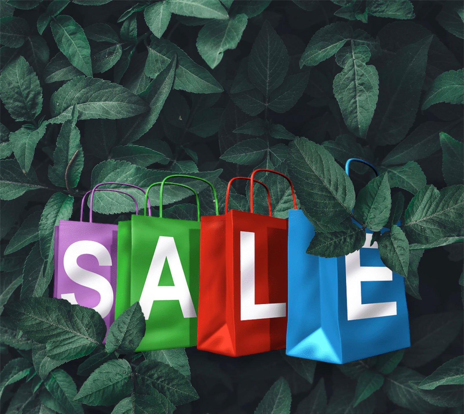 Home GMS PET SUPPLIES home-gms-pet-supplies